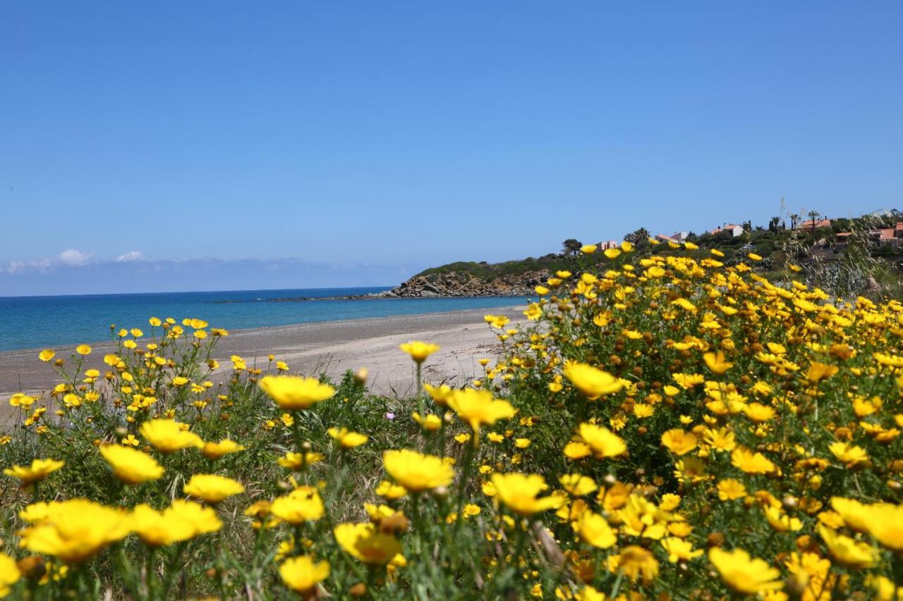 Villa Memi Cefalù Εξωτερικό φωτογραφία